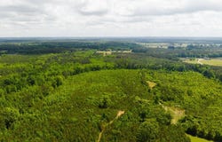 Highway 393, Louisville, MS 39339
