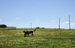 12845 Highway 6, Iredell, TX 76649