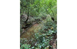 Mill Trace Court, Cleveland, GA 30528
