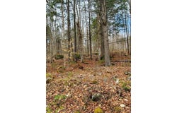 Sandy Beach Road, Danforth, ME 04424