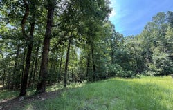 205 HWY 35, McCarley, MS 38940