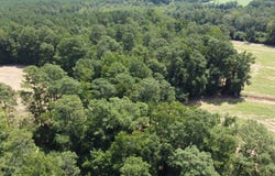 0 Black River Road, New Zion, SC 29111