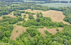 000 Bud O Yates Road, Obion, TN 38240