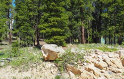 0 Caesar Rd, Black Hawk, CO 80422