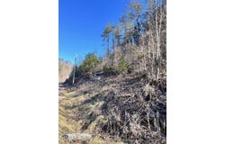 Tract 1 Bundren Mountain Road, Tazewell, TN 37879