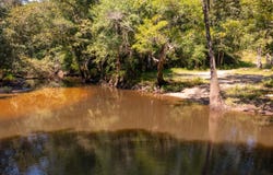 Rossen Cove, Baker, FL 32531