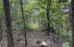 Moore Bend Road, Cedarcreek, MO 65627