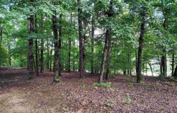 6 Sacedon Circle, Hot Springs Village, AR 71909