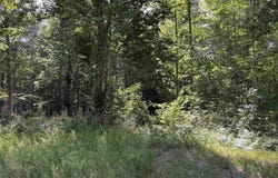 116 KNOLL ONE DRIVE, LEROY, MI 49655-9414