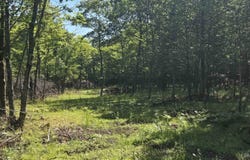 1021 Sedar Hill(Parcel D), Calumet, MI 49913