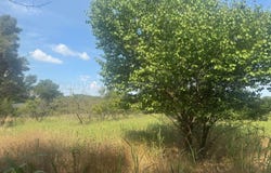 S Choctaw St, Shamrock, TX 79079