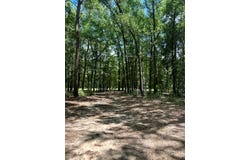 148 Arrowhead Lane, Fort Gaines, GA 39851