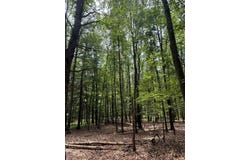 00 Stephens Lane, Huntingdon, PA 16652