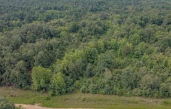 4152 Ponds Tract 3 Road, Maynard, AR 72444