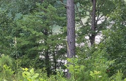 LOT #26 HIGHLAND SHORES, Jasper, AL 35503
