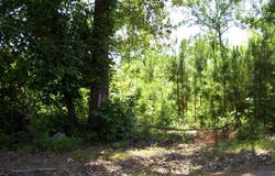 1131 LR 35, Ashdown, AR 71822