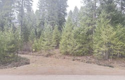 NKN WILDERNESS AVE, IONE, WA 99139