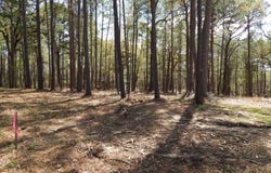 000  Oak Ridge Rd., Many, LA 71449