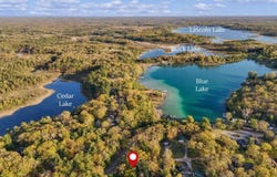 12651 Maston Lake Drive, Sand Lake, MI 49343