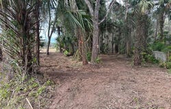 LAKE HARNEY RD, GENEVA, FL 32732