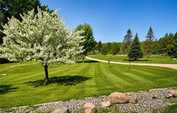 6828 Aurora Drive, Akeley, MN 56433