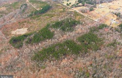 5239 DICKERSON Road, PARTLOW, VA 22534