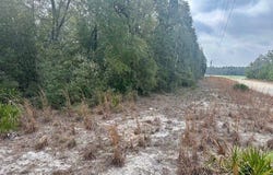 NW 11th Ave, Bell, FL 32619