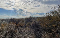 1292 Venado Grande, Eagle Pass, TX 78852