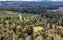 Wallace RD, Clatskanie, OR 97016