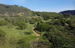 HILEA RD, Naalehu, HI 96772