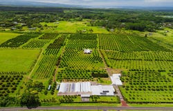 17-4150 HUINA RD, Kurtistown, HI 96760