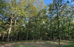 160 Steeple Point DR. Lot #9 Drive, Defiance, MO 63341