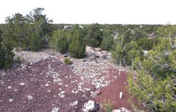 20203017 Griffin Road, Williams, AZ 86046