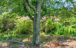 2786 A D Farmer, Good Hope, GA 30641