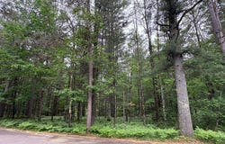TRAILWOOD DR lot: #90, Minocqua, WI 54548