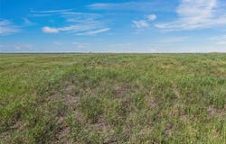 631 Hcr 3220, Penelope, TX 76676