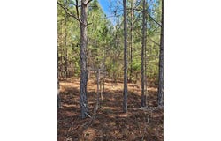 2567 Gees Mill Road NE, Conyers, GA 30013