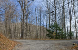 Hunter Jim Creek Road, Cullowhee, NC 28723