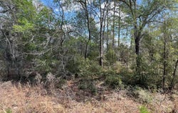 000 NE 154TH AVENUE, Williston, FL 32696