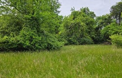 Tbd Boatmans Mountain Road, Morristown, TN 37814