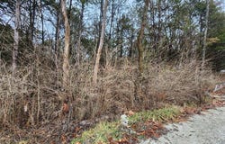 3638 Wayside Drive, Catawissa, MO 63015