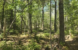 Boothbay Road, Edgecomb, ME 04556