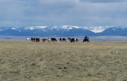 Dmb-61&62 Lookout Point Road, Shawmut, MT 59078