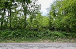 0 Swigart Rd., Bellville, OH 44813