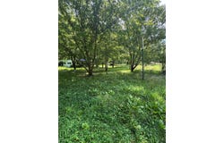 9827 Yellow Creek, Louisa, KY 41230