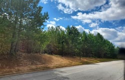 Stonebridge Boulevard, Bremen, GA 30110