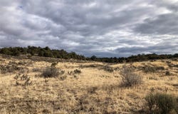 Tbd El Vado Lakes U 4 Tr 11, Tierra Amarilla, NM 87575