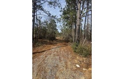 51 L Jack Stewart Rd, Poplarville, MS 39470