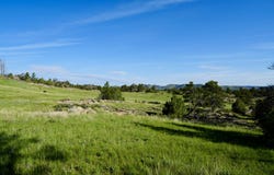 TBD County Road 82 E, Livermore, CO 80536