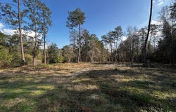 Lakeside Dr, Carriere, MS 39426